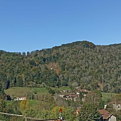 Paysage