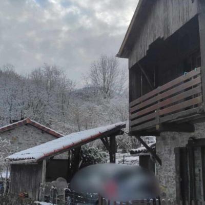Neige