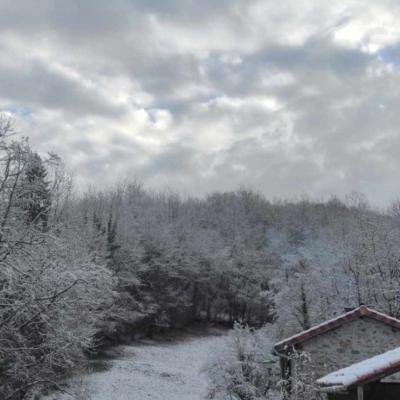 Neige
