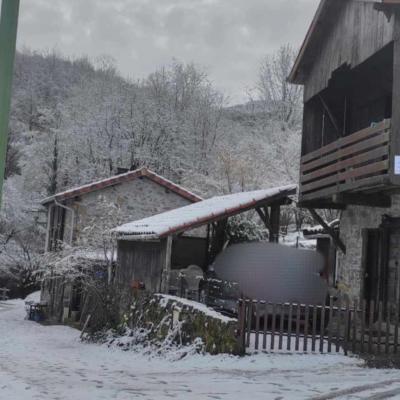 Neige