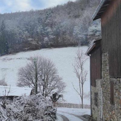 Neige