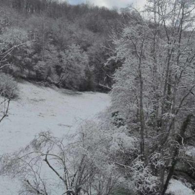 Neige