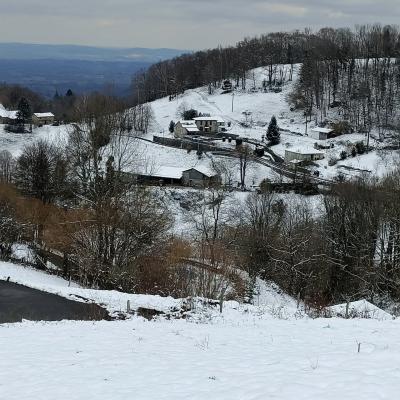 Neige