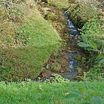 Le ruisseau