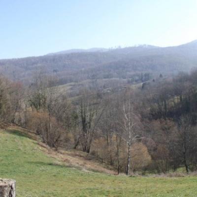Le village de Fougaron et les alentours