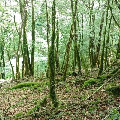 Randonnée La Cascade de la Planque - ARBAS