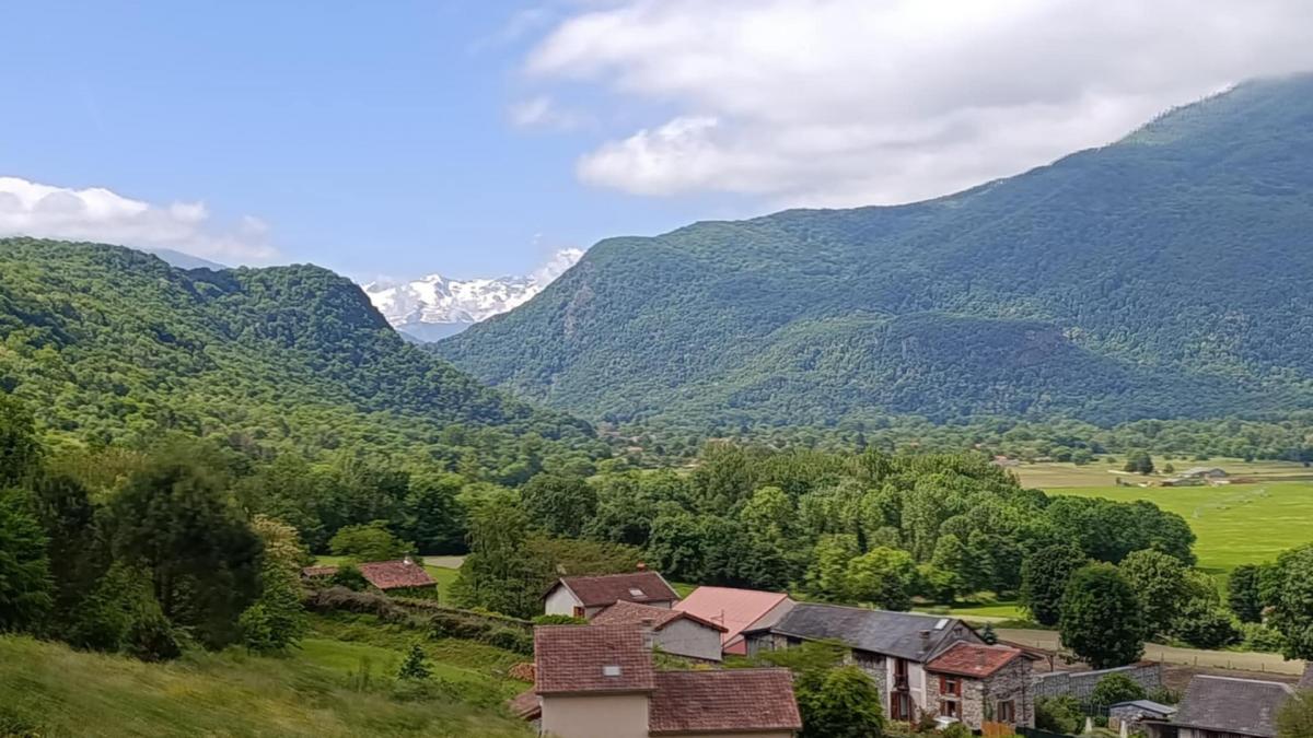 Panorama